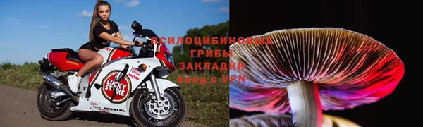 бошки Баксан