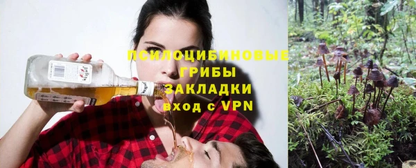 apvp Балахна