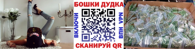 Конопля White Widow  наркотики  Гаврилов Посад 